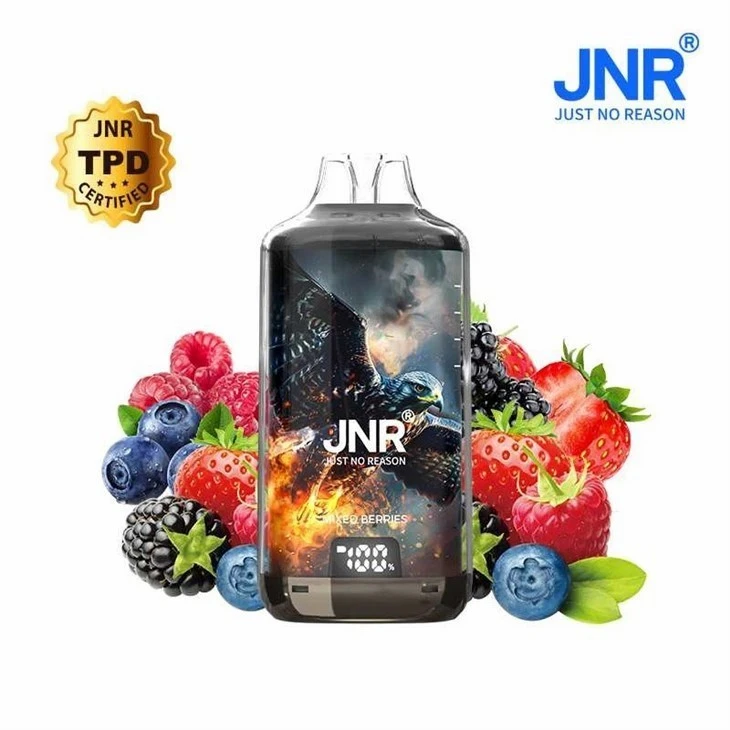JNR Falcon-X+28000 Puffs Vape factory
